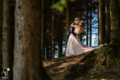 photo-2346196-badged