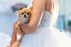 31082019-Hochzeitsfotograf-0063.jpg